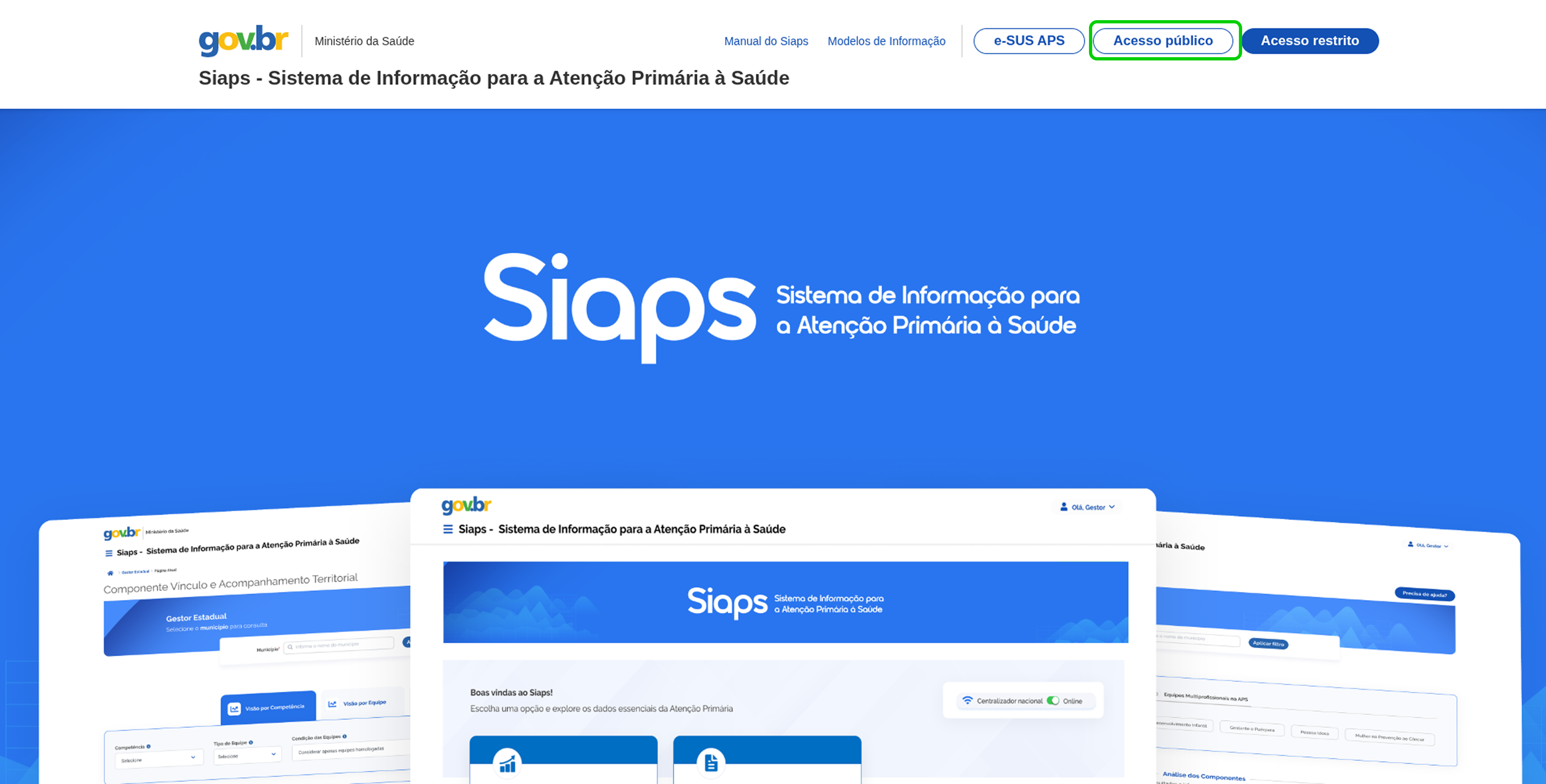 Figura Acesso à página inicial do Siaps