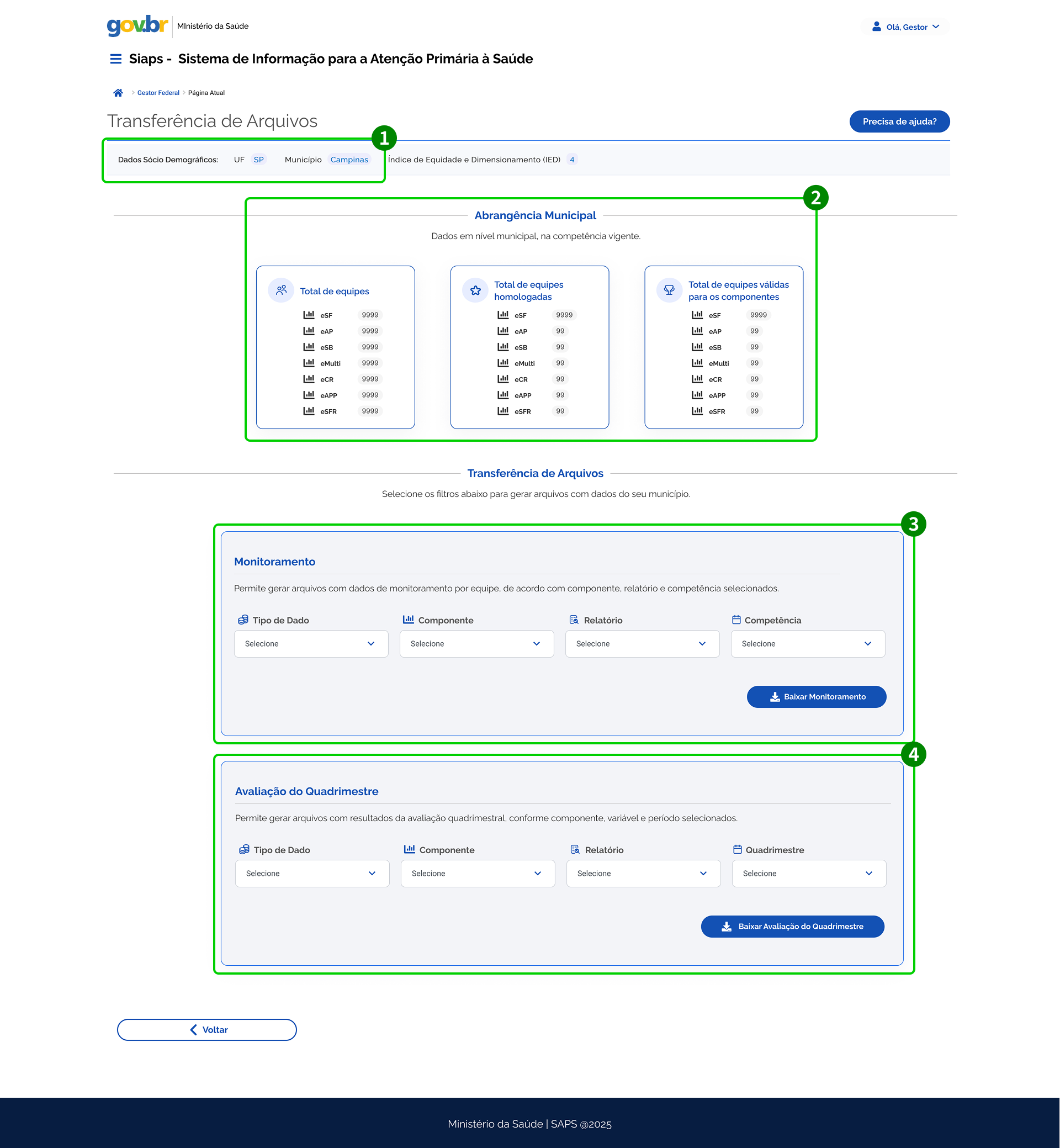 Figura do dashboard de consulta e transferência de arquivos